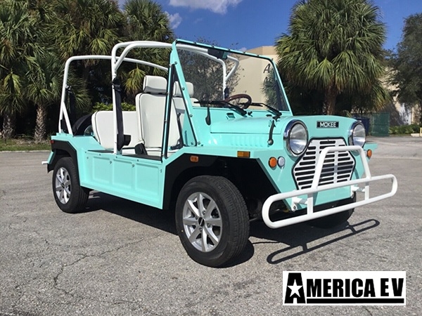 Mint Mokee 4 Passenger Golf Cart affordable golf cart rental, golf cart rent laguna woods golf cart rental